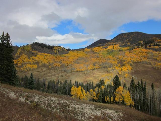 Arapaho National Forest